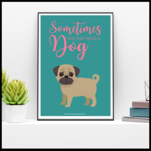 A4 plakater m. hunde